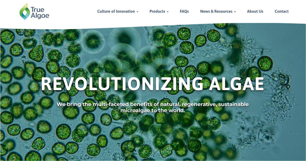 TrueAlgae tweet media