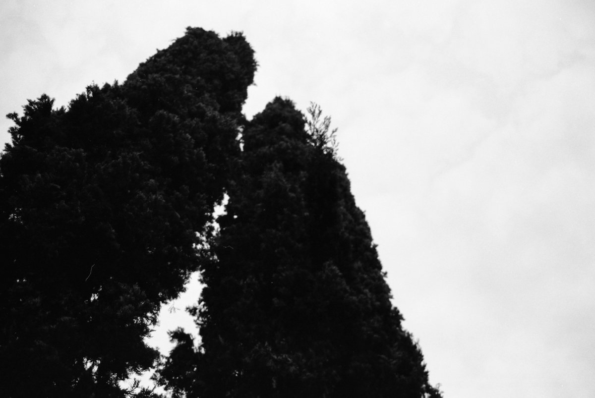 Haraldshots's tweet photo. Street photo 📸kodak #guatelinda  #photography #blackandwhite #streetphotography #arquitecturephotography #bnw #bnwphotography #blancoynegro #nikon #nikontop #StreetArt #perhapsyouneedalittleguatemala #visitguatemala #guatemala #photographer https://t.co/JS6SP7gnDw