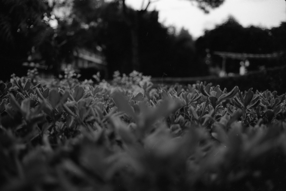 Haraldshots's tweet photo. Street photo 📸kodak #guatelinda  #photography #blackandwhite #streetphotography #arquitecturephotography #bnw #bnwphotography #blancoynegro #nikon #nikontop #StreetArt #perhapsyouneedalittleguatemala #visitguatemala #guatemala #photographer https://t.co/JS6SP7gnDw