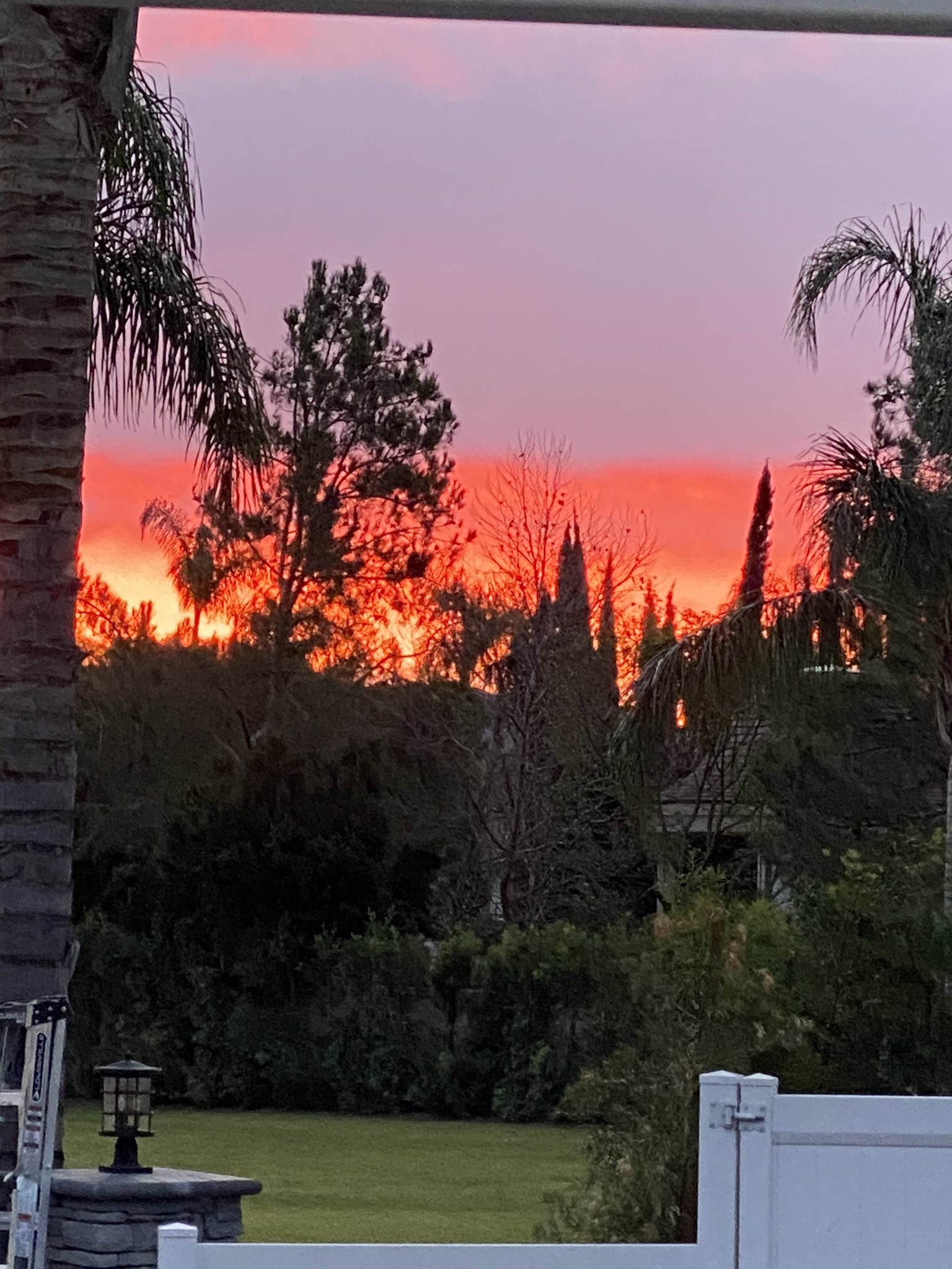 DYANNA LAUREN on Twitter: "Good morning peeps what a view https://t.co