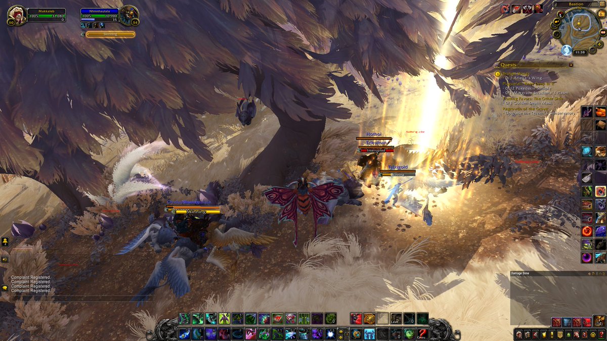 Makalheb's tweet photo. @BlizzardCS @Asmongold 
Botting Moon bois on Zul'jin, second day in a row https://t.co/QkEkF2zsnv