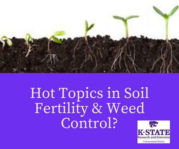 CottonwoodExt's tweet image. We would like your input to help guide us in planning two one-hour virtual programs. One focused on soil fertility and one on weed control for NW &amp;amp; NC KS growers. 

Please respond to survey by Jan. 10th. kstate.qualtrics.com/jfe/form/SV_2n…