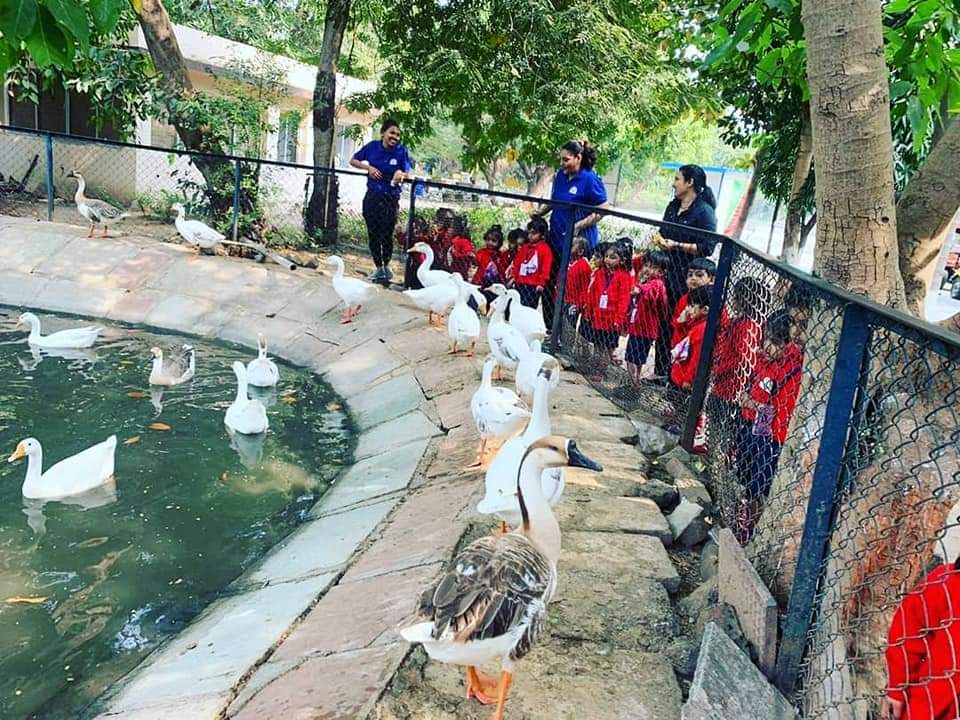tsmpreschool's tweet photo. Here are some glimpses of #WildDayOut of #LastYear when we visited Sarthana Zoo & Nature park for an educational field trip. What a great trip it was! Missing that day!
#LastYearMemories #Zoo #ZooVisit #WildDayOut #Animals #SarthanaZoo #tsmpreschool #Preschool https://t.co/9JsvopuryC