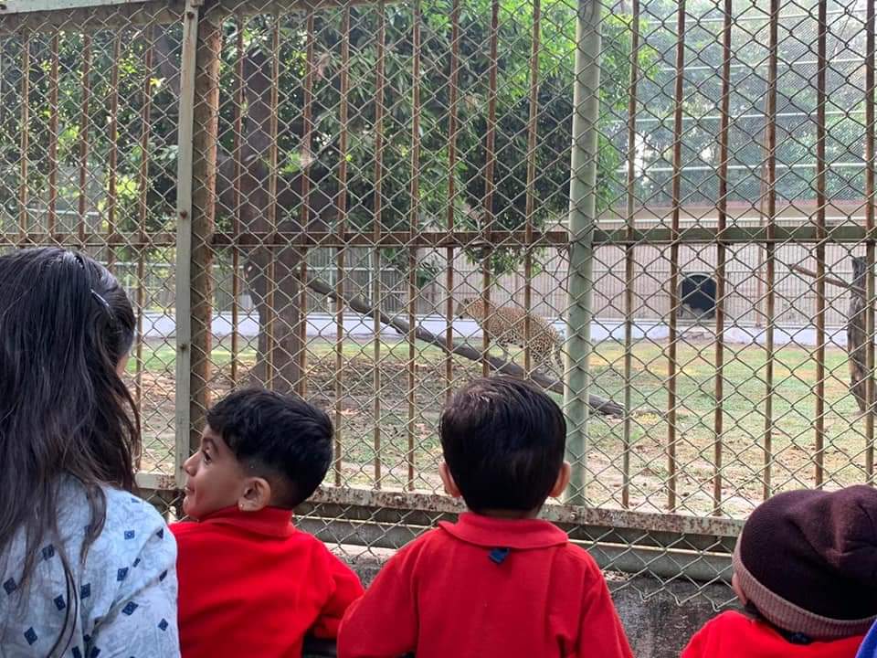 tsmpreschool's tweet photo. Here are some glimpses of #WildDayOut of #LastYear when we visited Sarthana Zoo & Nature park for an educational field trip. What a great trip it was! Missing that day!
#LastYearMemories #Zoo #ZooVisit #WildDayOut #Animals #SarthanaZoo #tsmpreschool #Preschool https://t.co/9JsvopuryC