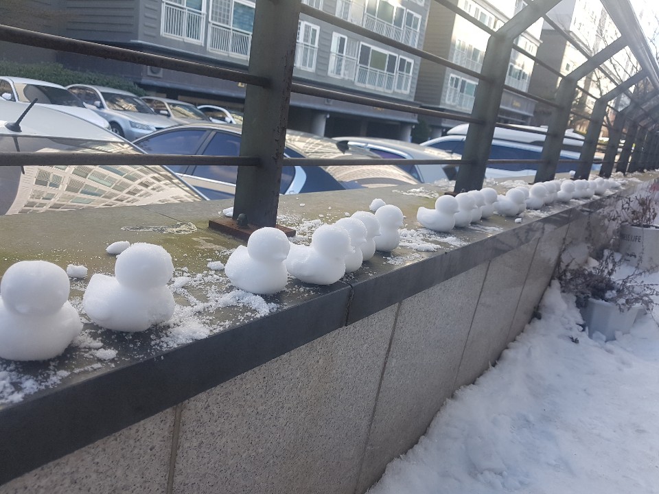 오리눈사람 동생이 부모님가게앞에 열심히 만들어놨는데 계속 오리를 누가 가져가서 막내가 절도죄라고 화냈음