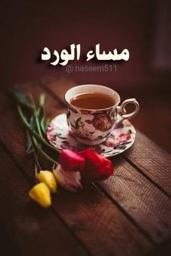 Samirabdelsame1's tweet photo. @BesmaBen73 https://t.co/nU6GBywVj0