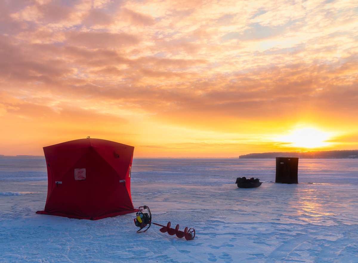 Peavey Mart tweet media