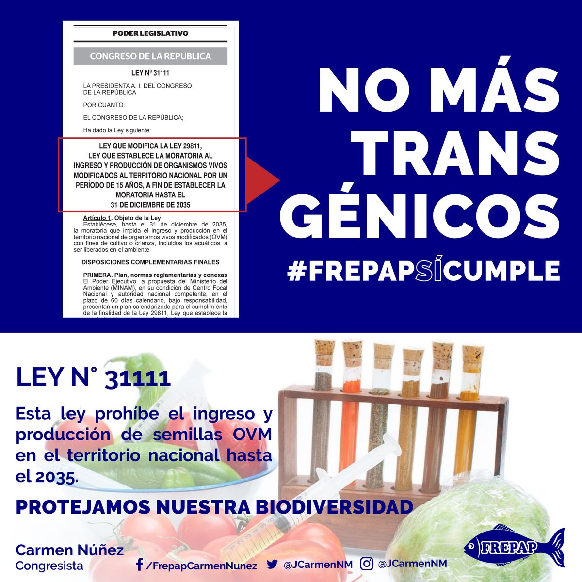 CarmenNunezM's tweet photo. En defensa de la producción alimentaria ecológica y la protección del equilibrio biológico de nuestras semillas, se promulgó la Ley 31111, que protege nuestra agricultura milenaria y biodiversidad, gracias a la Comisión Agraria, que presidimos.
#FREPAP #ConElAgroAlPoder https://t.co/K63KzjA2Dz
