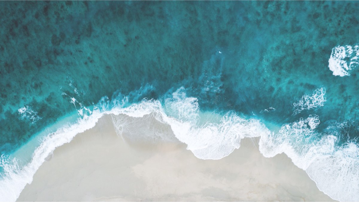 sosvahelps's tweet photo. Owning a business can be hard. Even in the best times, it can be difficult to keep your head above water. At SOS, we’re passionate about taking the stress out of your day! https://t.co/LWnGqqT2Dg

#virtualassistant #virtualreceptionist #SOS #ConsiderItDone https://t.co/VAMYtdqXs0