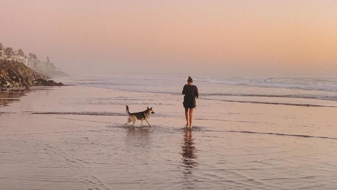 missionpacific_'s tweet photo. Perhaps one lesson we can all learn from dogs is how to live in the moment. 

📷 bebav____ via Instagram

#MissionPacific #MissionPacificMoments #MissionPacificHotel #OceansideBeach #OceansideBeachHotel #OceansideVillage https://t.co/qEUB2JBEMC