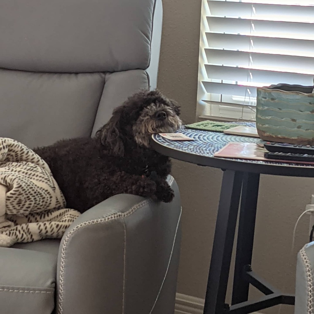_jessdalrymple's tweet photo. How is that comfortable?!? https://t.co/fKX31E494x