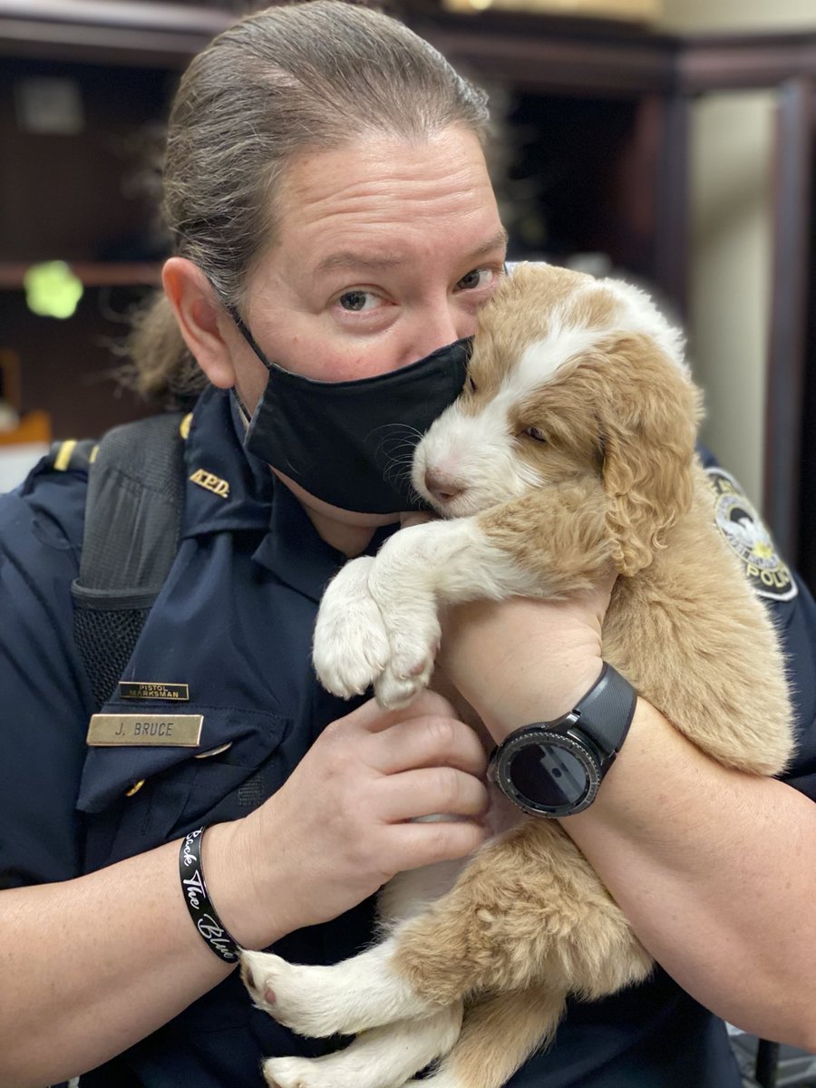 Meet Willa, a new addition to the <a href="/Atlanta_Police/">Atlanta Police Department</a> PAWS program! She’s training to be an emotional support dog for officers and victims of crimes.