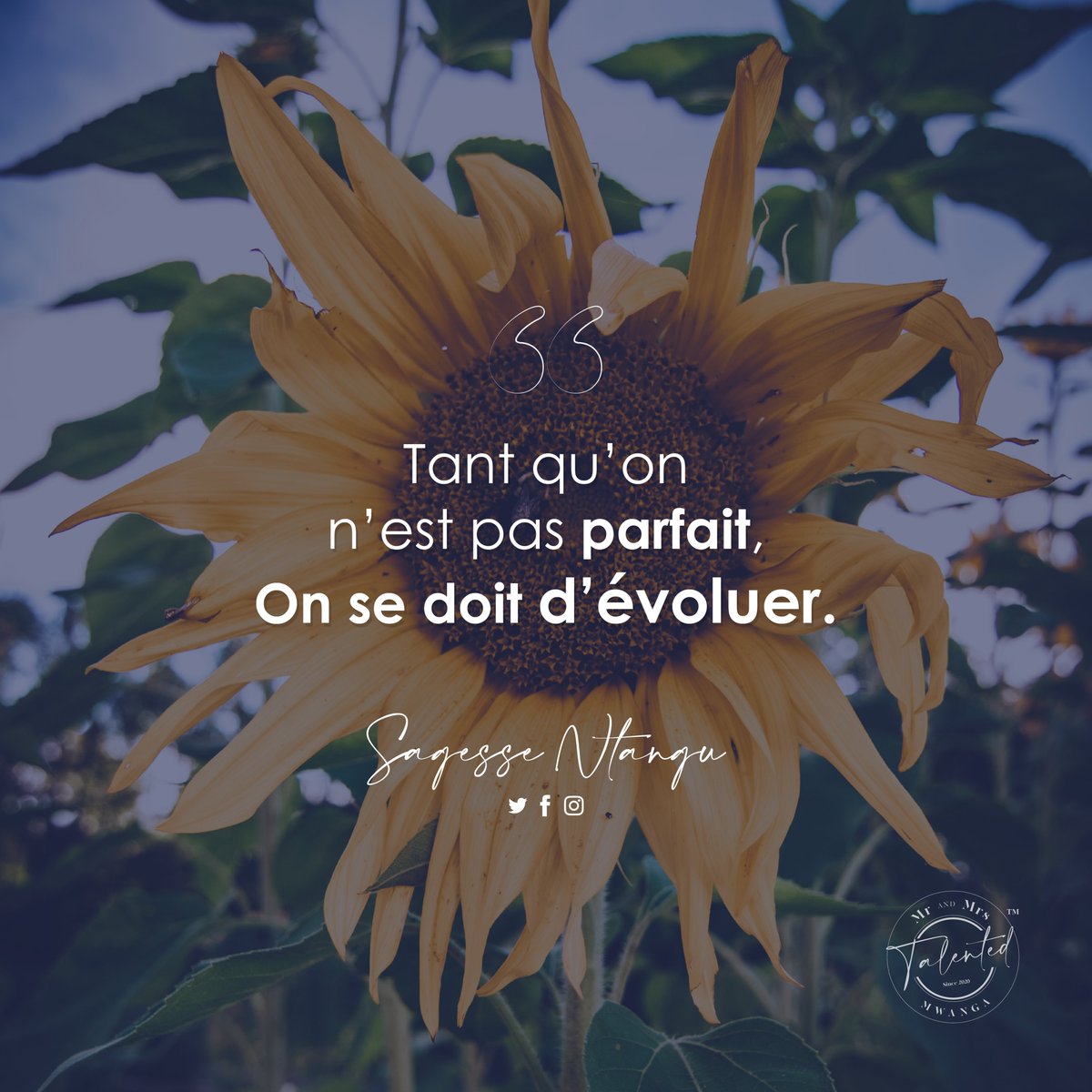 sagessentangu's tweet photo. Tant qu’on n’est pas parfait, On se doit d’évoluer.
.
.
Cap vers l'évolution !
.
.
#SagesseNtangu #Wise #McNtangu #NoPerfect #Imparfait #Evolution #EnQuêtedePerfection #Fastlife #personnestalentueuses #Congolese #African #MrMrsTalented #Mwanga #2k21 https://t.co/6pnrKtZC8E
