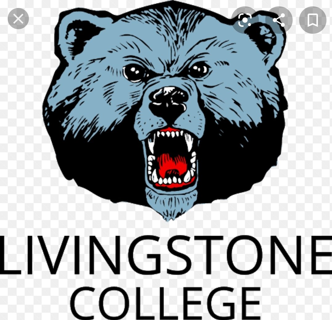 DBrand63's tweet photo. After a great conversation with @CoachWTrenchMob , im blessed to have received an offer to Livingstone College.  @DexPreps @McAdoryFB @AL6AFootball @_Coach_L #lastride2021 #bluebearfamily #buildingapowerhouse https://t.co/JdFixfIN6P