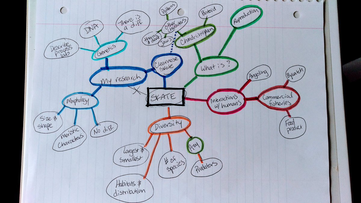 indseyNoel's tweet photo. Putting together an #education and #outreach presentation for @cbnerr ! Step 1 is #Mindmapping and step 2 is storyboarding with sticky notes.
#scicomm #fish #rayvolution #Elevatetheskate #WomenInSTEM https://t.co/BQey03kEQi