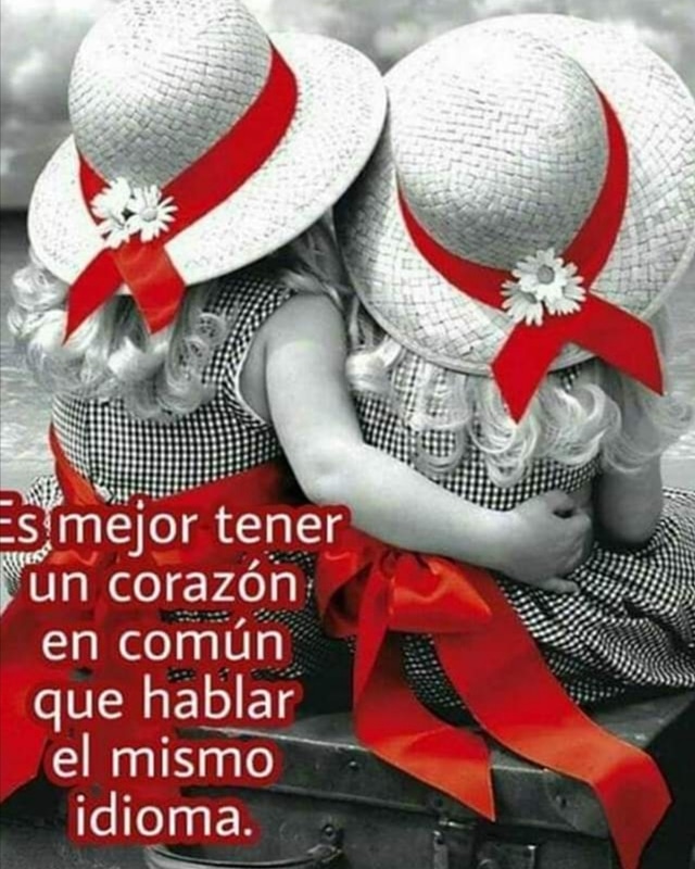 yancySouza's tweet photo. 🐝🐞🦋 https://t.co/1gupAycA8x