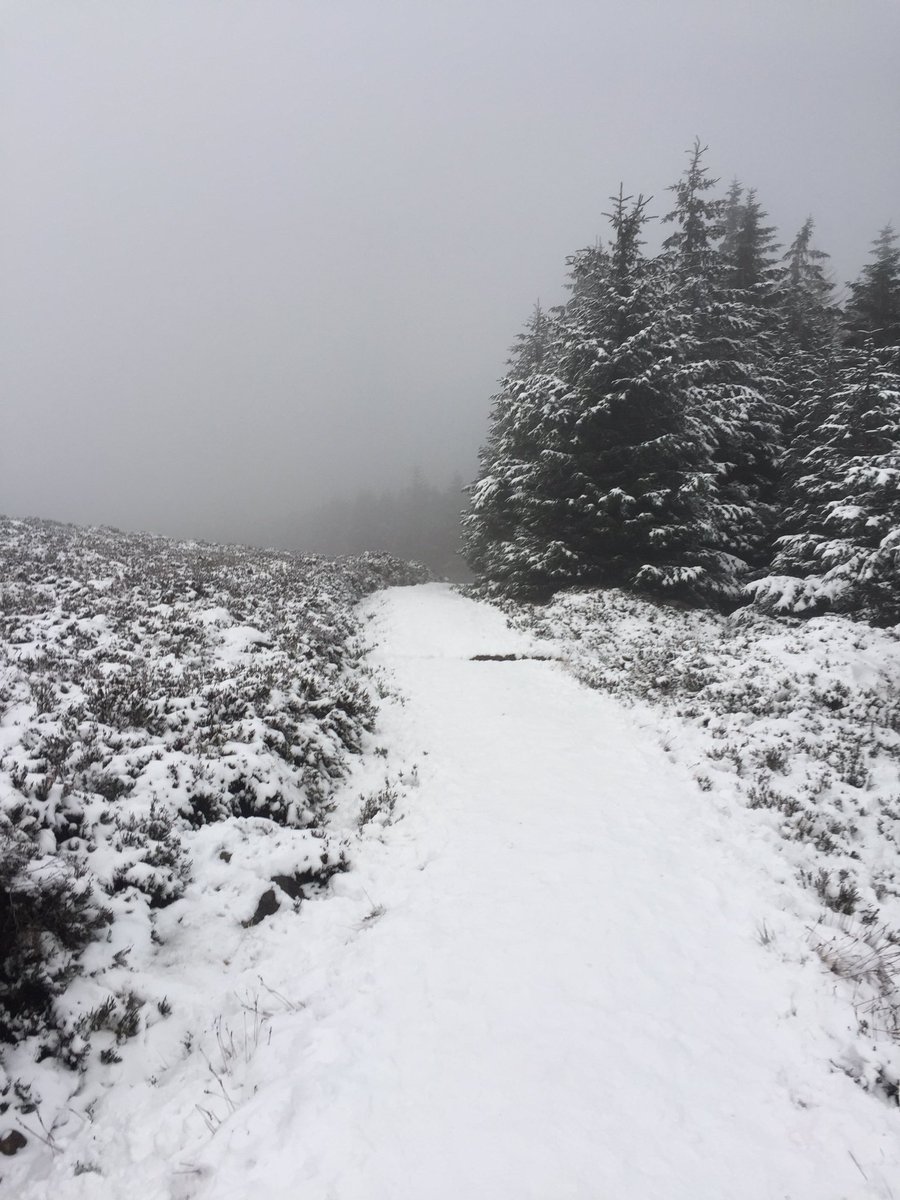 BriancorkBsky's tweet photo. Stairway to heaven on the way up Cruagh mountain #DublinMountainWay #Cruagh #Sneachta https://t.co/Lzj8k6OixE