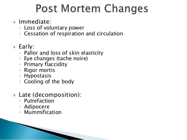 Post-mortem changes can be classified into three categories: - immediate - early - late