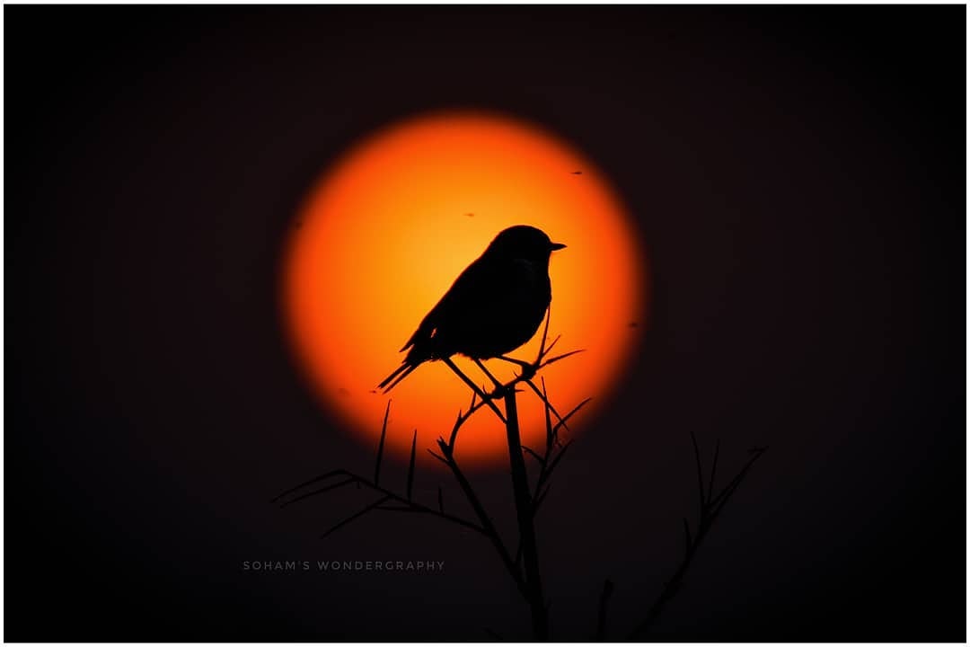 clickforfameol's tweet photo. Clicked by-  https://t.co/TNpm26QVjZ
.
.
Use #clickforfame for feature.
#photographer #photography  #photoshoot #photographypassion #travelphotography #photographyworld #likeforfollow #followforfollow #likeforlike #like4like #like4follow #likeforlikeback #follow4follow https://t.co/kEn2f9ATrv