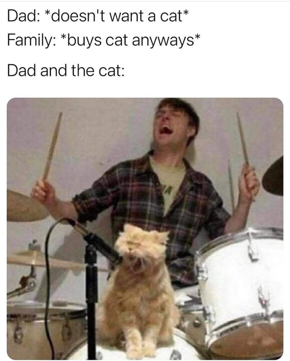 Moverwinemomma's tweet photo. @kyle_melancon 
Is this you and Little Buddy? 🤣😂 https://t.co/tyZQgINzBl