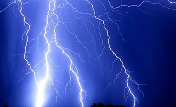 basicsciencess's tweet image. The nature say something: