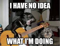 ksmkilternan's tweet photo. Free Guitar lessons at KSM - https://t.co/Nt7u2sKVr2 https://t.co/CJGmMZbHC8