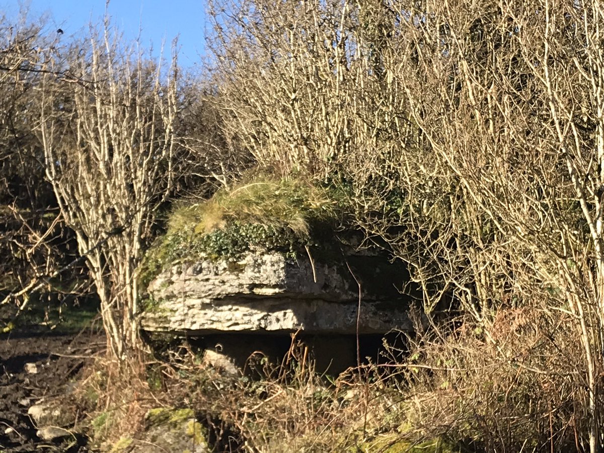 Today’s pic from the Burren shows why it’s also known as the Fertile Rock