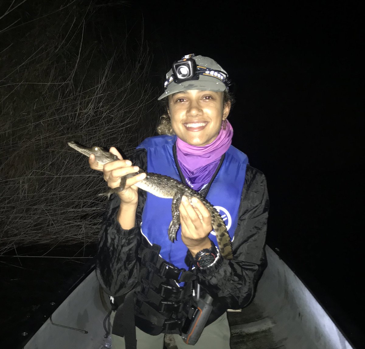 Treya_ann's tweet photo. Croc surveys start back next week ππ½ #dryseason #jamcrocs https://t.co/dcYl14ntEW