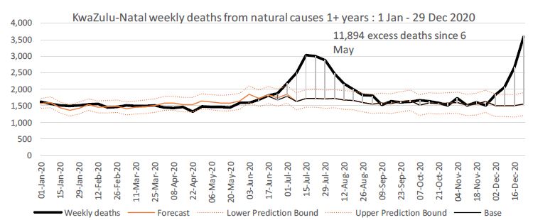 The rapid rise in our province of KwaZulu-Natal is especially concerning - over the 4 weeks of December we rapidly reached over 2000 excess natural deaths per week (+132% of predicted value)  @MoshabelaMosa  @petruccione  @Tuliodna  @UKZNCHS  @krisp_news  @AHRI_News  @CAPRISAOfficial