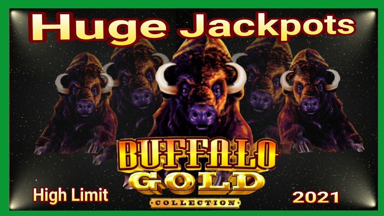 Buffalo Gold Collection Buffalo Gold Collection