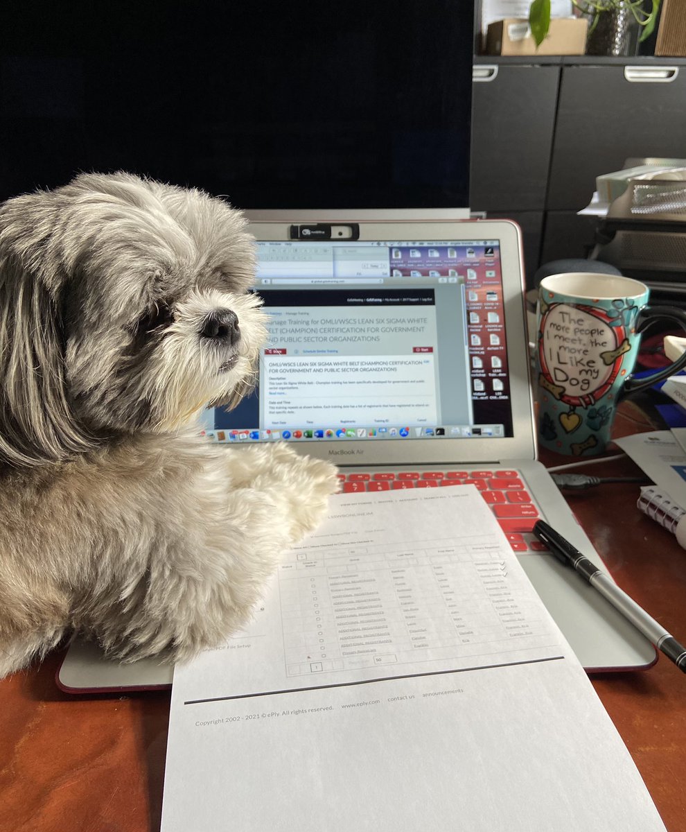 omligold's tweet photo. Trying to be productive with the best colleague ever! #Workathome #COVID19 #Municipality #dogs #BestFriend #leansixsigma #localgov #lockdown #omlilean #puppy #gototraining #technology #shihtzu #wednesdaythought #WorkFromHomeJobs #newyear #ONT #Canada #blessed https://t.co/50xV9FWlRk