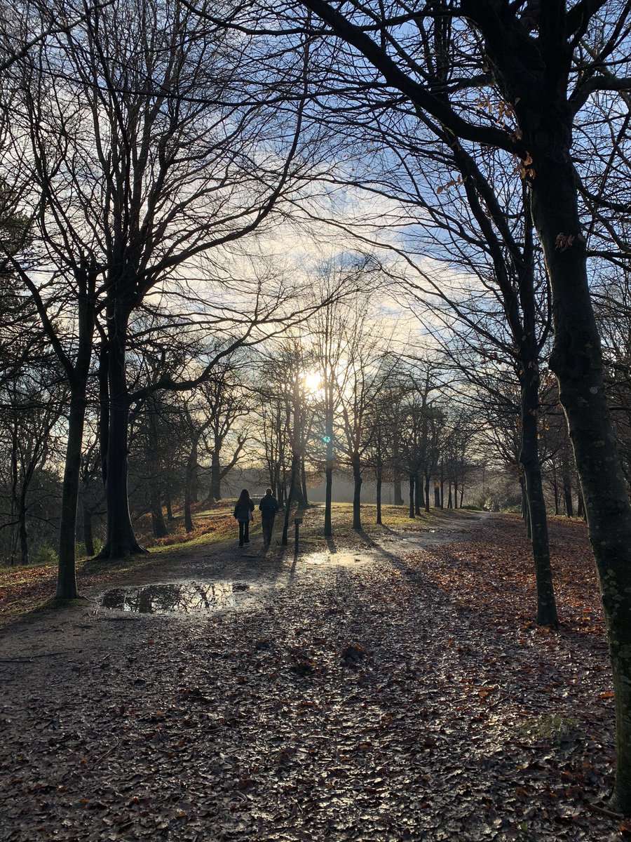 StephConnellArt's tweet photo. Photos from the #deepdenetrail https://t.co/eAJQcS3Eh7