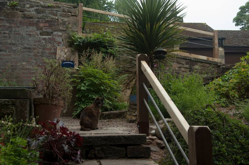 Gaia_landscape's tweet photo. Lucky enough to be homeschooling again (i could really do this long term !) so in the mean time concentrating on smaller projects that i can complete on a weekend &amp; am sharing a few ideas to fancy up your outdoor spaces.

https://t.co/0aHf9cdLJX https://t.co/CkTNLnLuzU