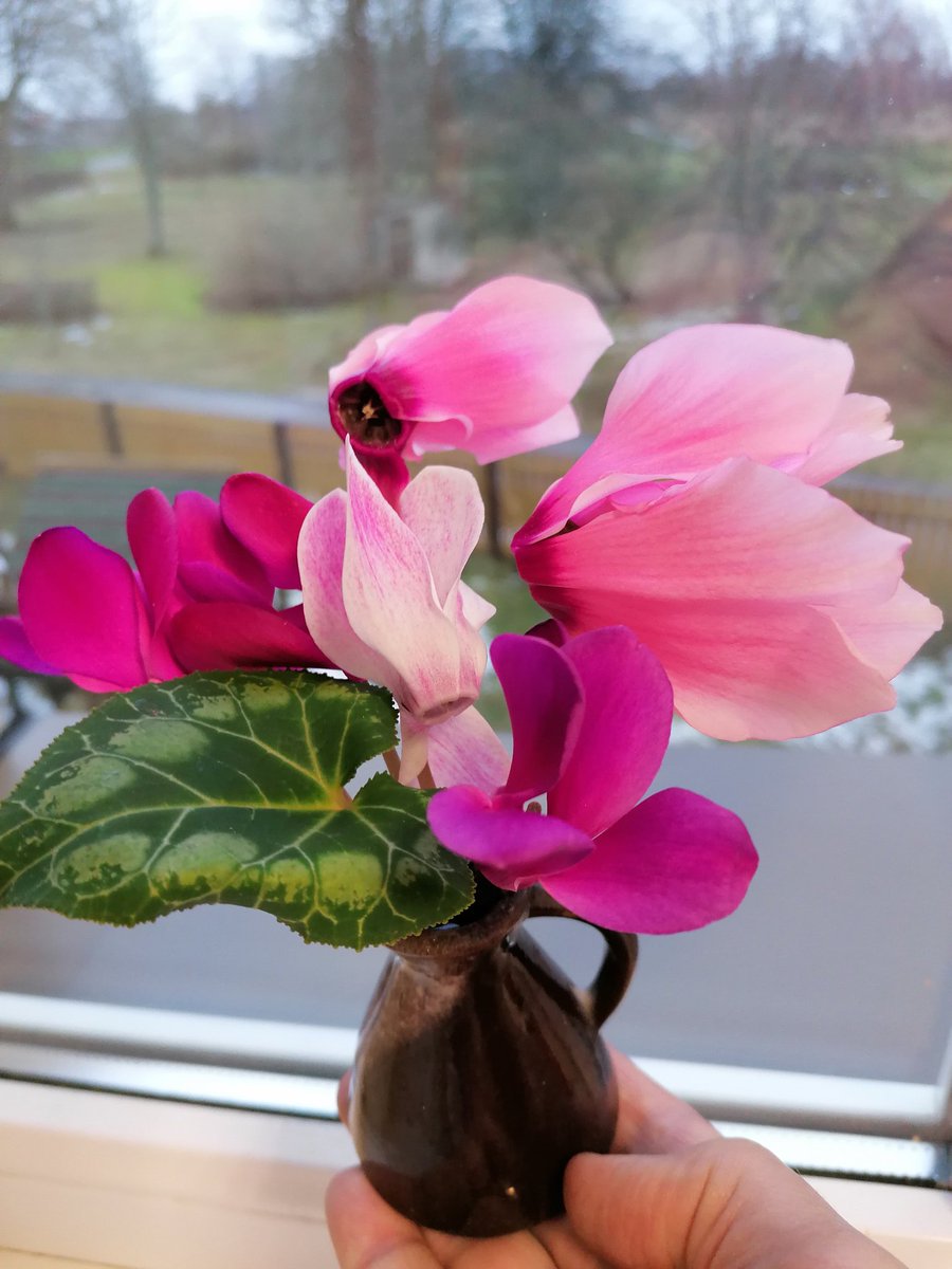 uzavasbib's tweet image. Mazs, košs šodienas prieks! Paldies, un uz tikšanos! Lai visiem priecīgi! 💐💝
#prieks #drīztiksimies
#uzavasbibliotēka