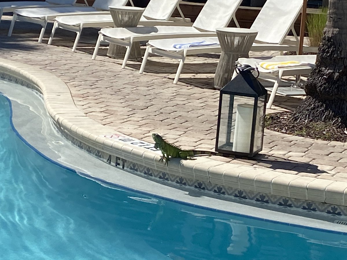 markddykema's tweet photo. He is the pool Boss. https://t.co/cf1Xu7yA2X