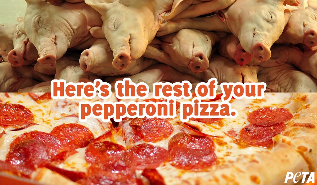 PETA on Twitter: PETA on Twitter: