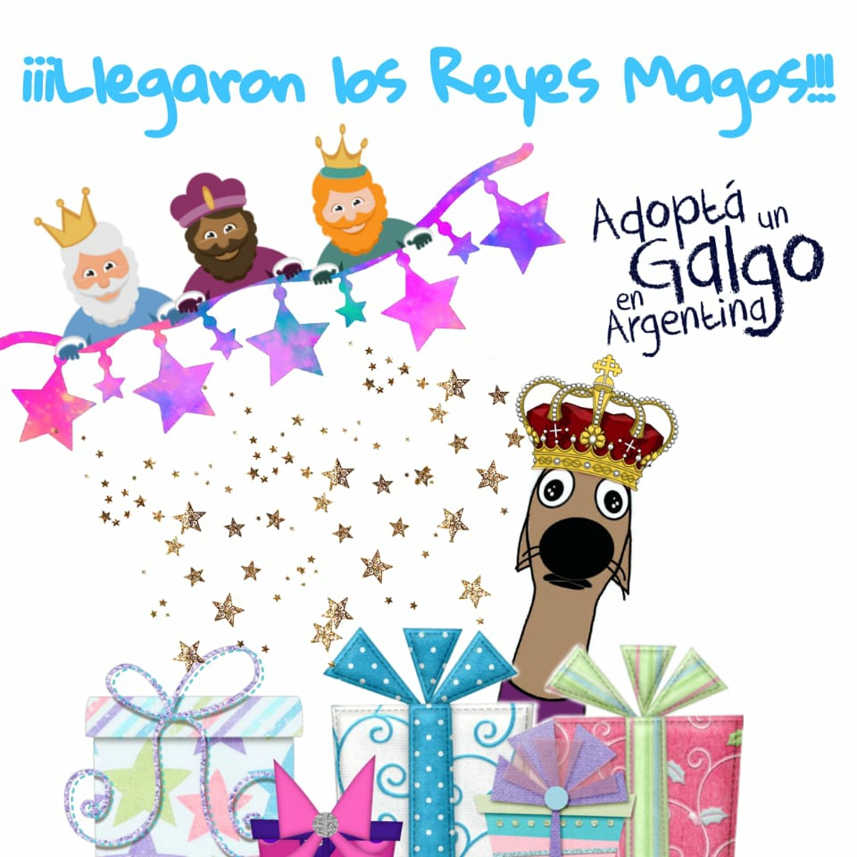 #ReyesMagos2021 
#AdoptAGreyhound
#AdoptDontShop 
#Galgo