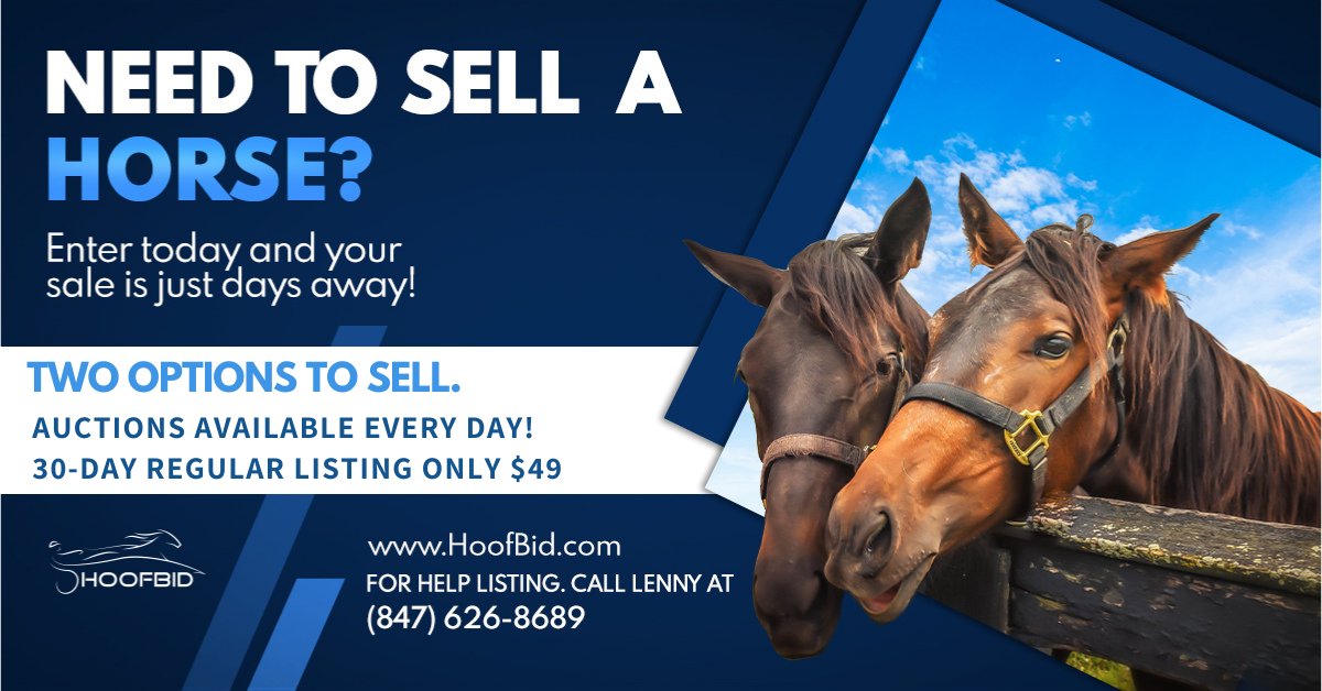 2 options to sell - Regular Listing or an Auction. Need help, call Lenny (847) 626-8689. #horsesforsale hoofbid.com