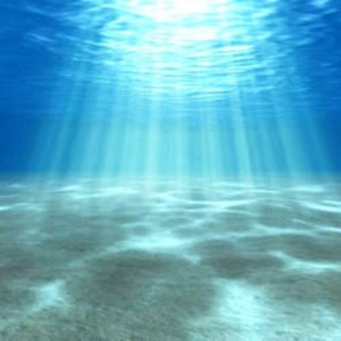 naecoofficial's tweet photo. Keeping our oceans clean is our top priority this year! 
What are some of your goals for 2021?

#InspiredbyNaeco #NaecoOfficial #DoGoodLookGoodFeelGood #Ocean https://t.co/Ja19miy5g7