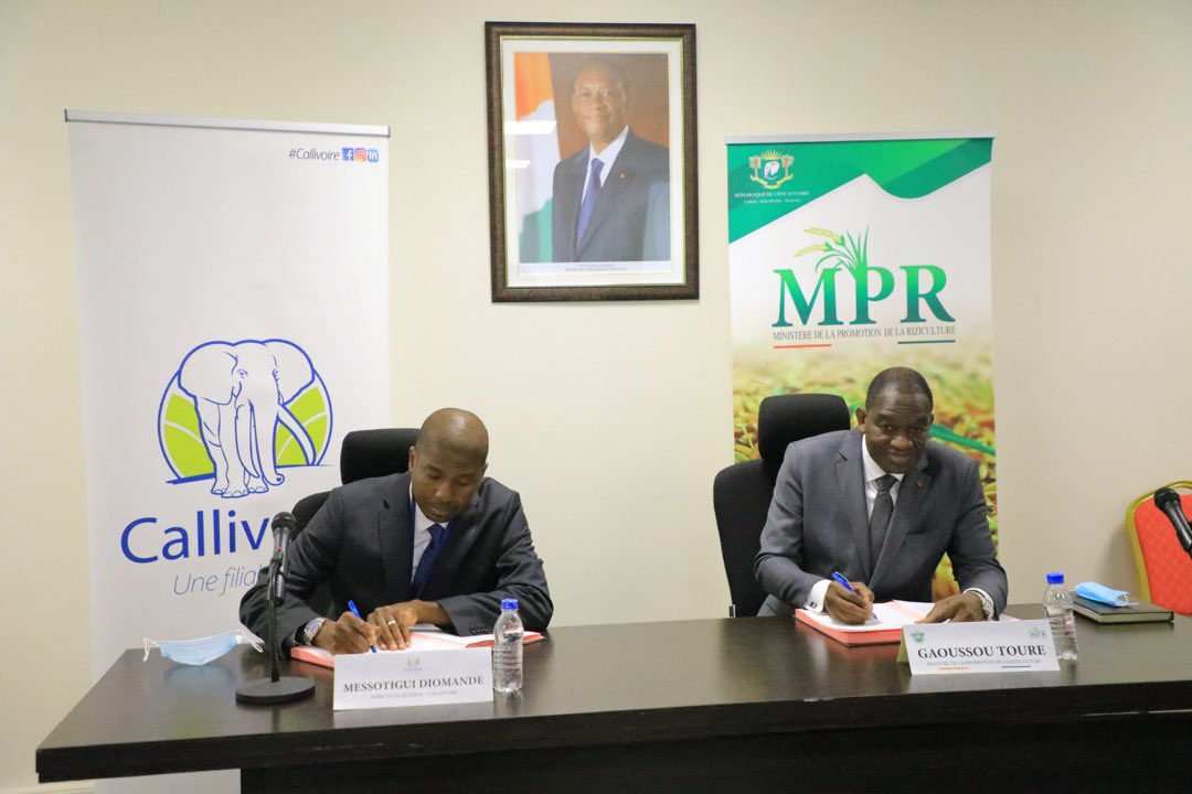 MPRiziculture's tweet photo. Le Ministère de la Promotion de la Riziculture et CALLIVOIRE ont procédé, ce mercredi 06 Janvier 2021, à une signature d’accord de partenariat au cabinet dudit ministère. https://t.co/u765sXC2tl