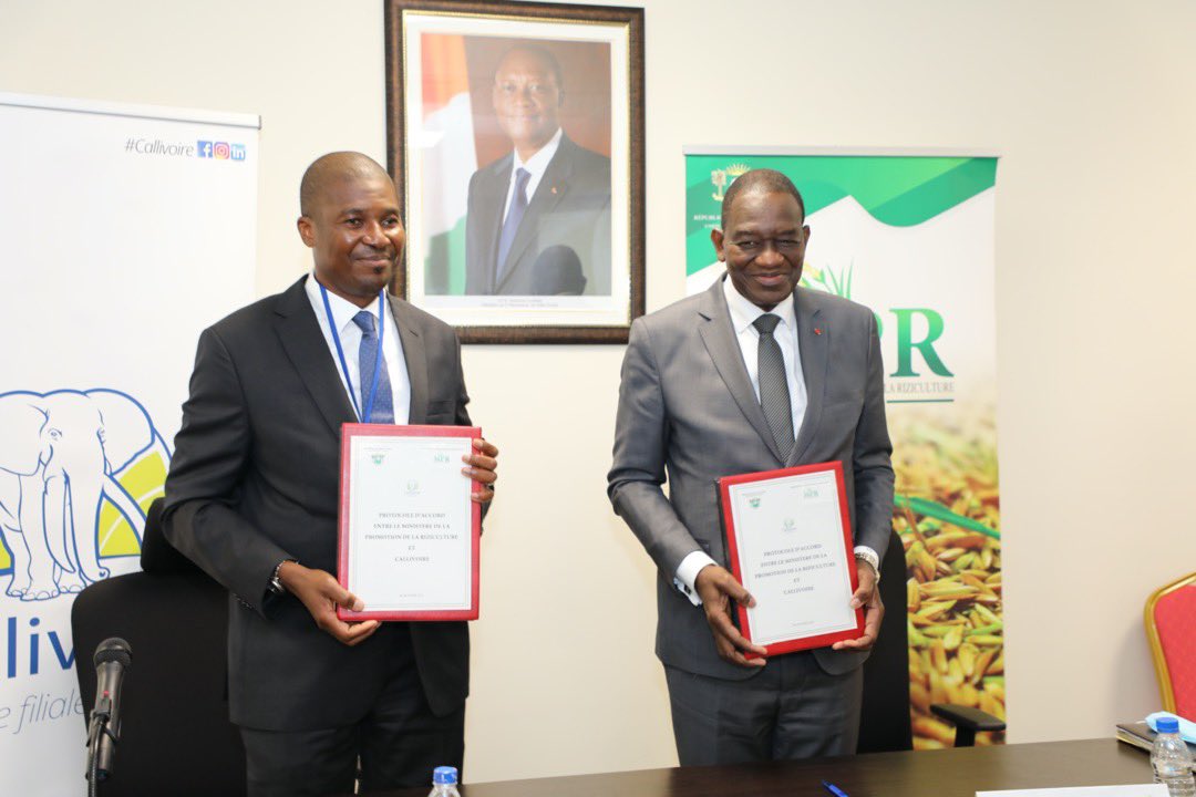 MPRiziculture's tweet photo. Le Ministère de la Promotion de la Riziculture et CALLIVOIRE ont procédé, ce mercredi 06 Janvier 2021, à une signature d’accord de partenariat au cabinet dudit ministère. https://t.co/u765sXC2tl