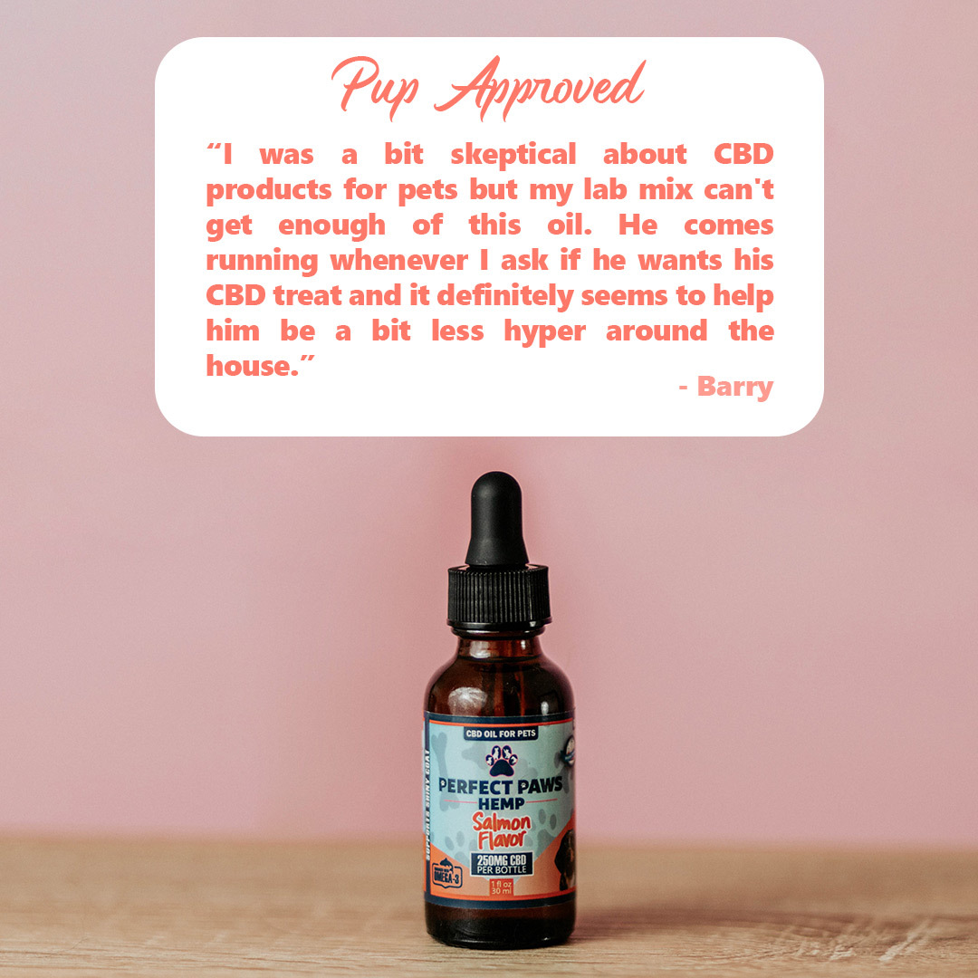 perfectpawshemp's tweet photo. 🐶Another happy pup parent!
how has CBD helped your furry friend?
#CBD #perfectpawshemp #pets #CBDforpets https://t.co/Z9wZOquv1w