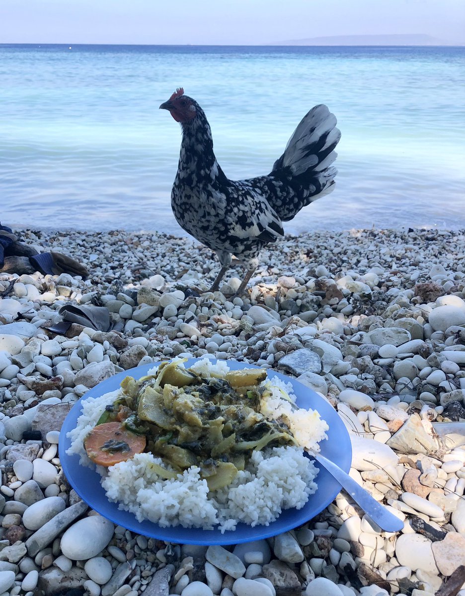 Hello from Haiti! <a href="/earthship_HQ/">Earthship Biotecture</a>