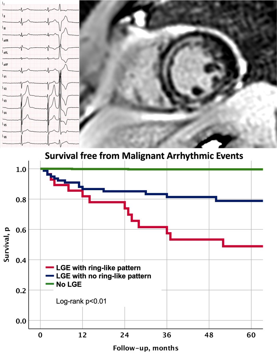 Pasquale Santangeli tweet media