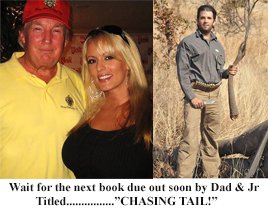 JustinC41901859's tweet photo. @LeeHolly81 @realDonaldTrump @sendavidperdue @DonaldJTrumpJr Whoa?  Is that Junior??  Promoting their new book deal?? https://t.co/nRHM8EObhe