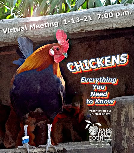 RareFruitMiami's tweet photo. We're going virtual!!
Join us for our first meeting of the year, LIVE on Zoom, next Wednesday (1/13) at 7pm EST. 
Registration required: https://t.co/f9aL6hBovv https://t.co/Dl8NeRGHNM