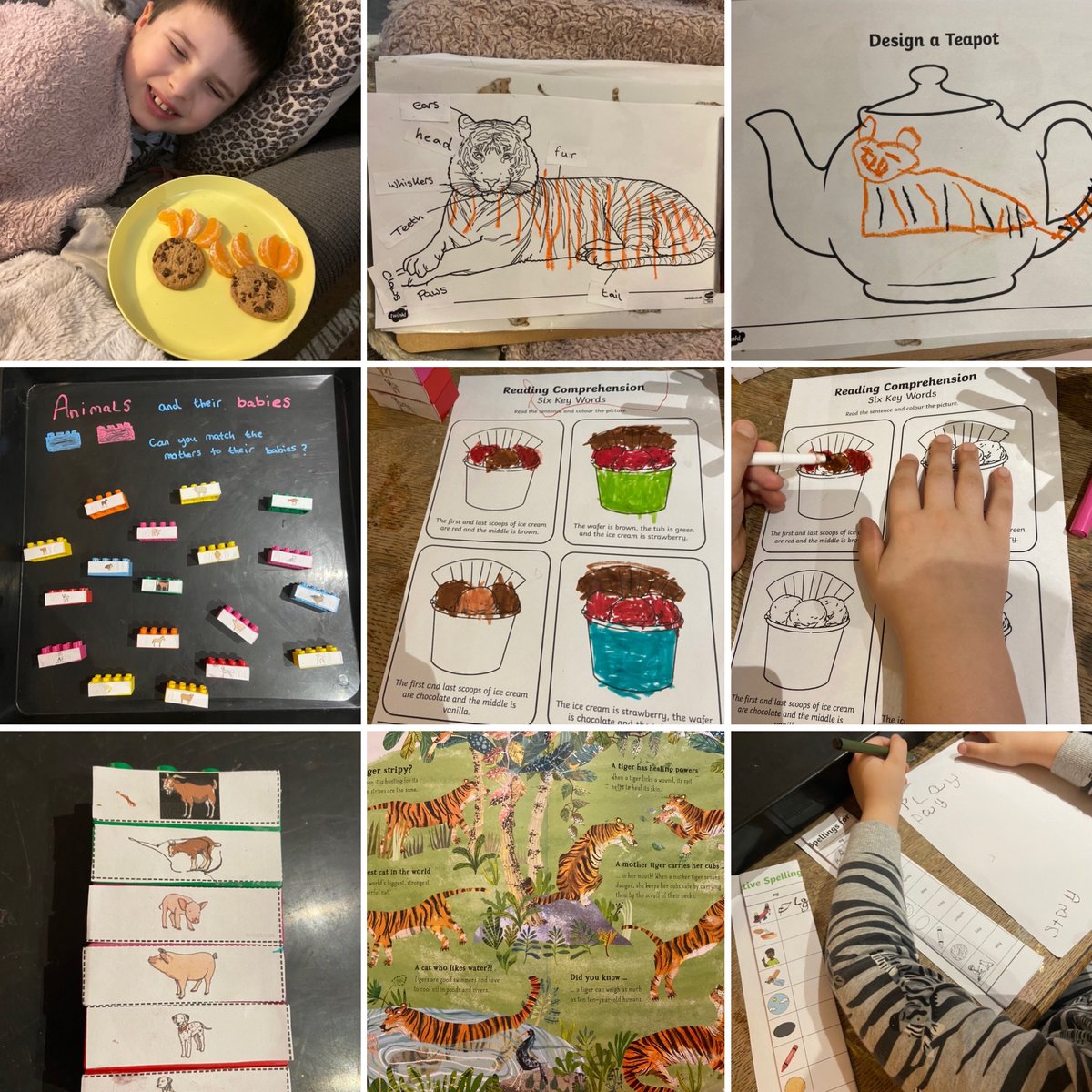 Some of our learning at home #homeschooling  💗🐅🎨📝 @TwinklParents #autismawareness #thetigerwhocametotea #Year2 #twinklresources #playbasedlearning