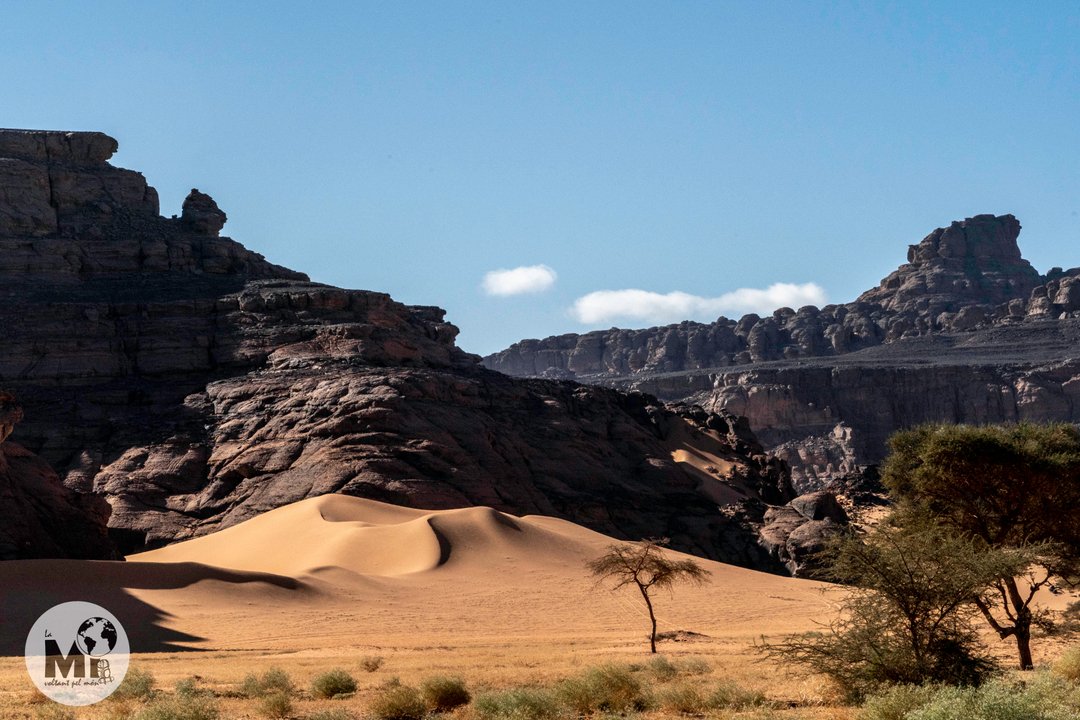 La zona del Tassili Tadrart havia estat fa uns quants milenis una fèrtil savanna. Encara avui hi ha algunes acàcies que lluiten per sobreviure-hi amb la poca aigua que reben, mentre les muntanyes es van erosionant creant dunes de colors daurats que creen un paisatge espectacula