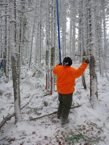 pour_foret's tweet photo. Il arrive que nous devions faire d'autres échantillonages pour vérifier nos données, ce qui a parfois lieu au début de l'hiver! Pour en savoir plus sur notre recherche, allez à https://t.co/SaZtzVK8OD https://t.co/i51LIUfzcO