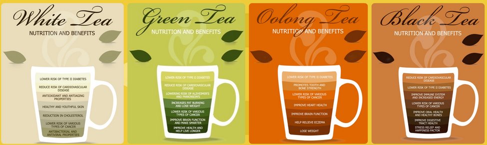 TeaPremier's tweet photo. Health Benefits of Tea? https://t.co/sqpVaOxA5S